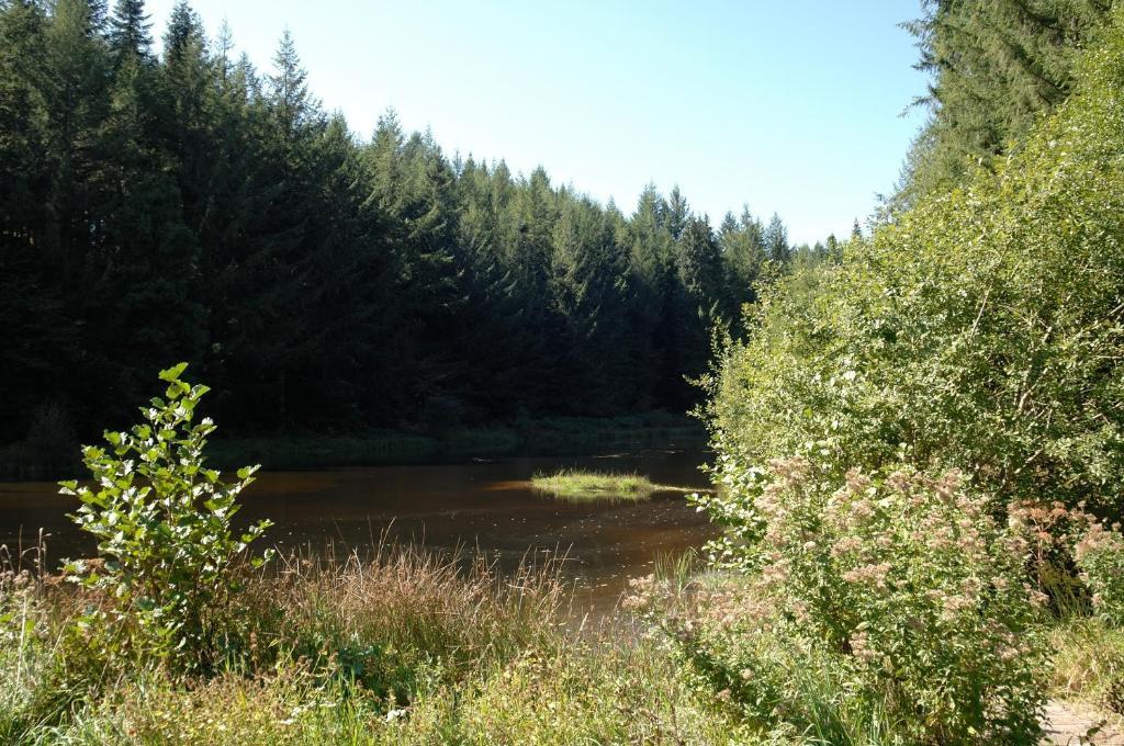 Le Moulin Des Farges Panzió Meymac Kültér fotó