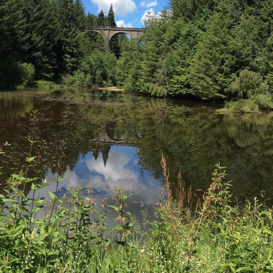 Le Moulin Des Farges Panzió Meymac Kültér fotó
